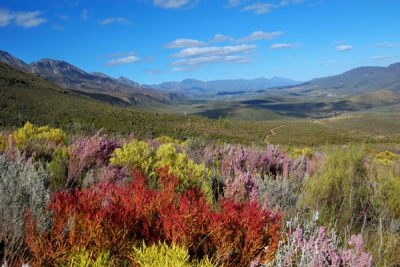 Oudtshoorn &amp; De Rust