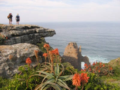 Wild Coast Ventures
